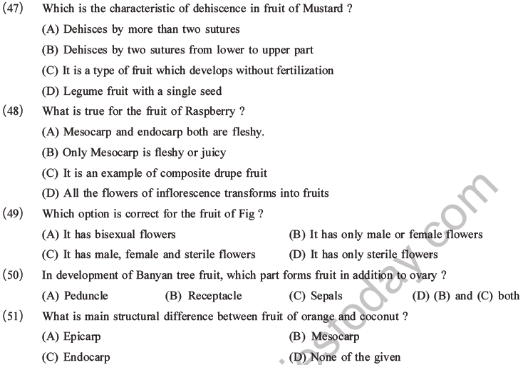 NEET Biology Morphology Of Plants MCQs Set C, Multiple Choice Questions